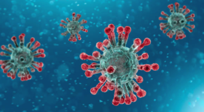 Emergenza Coronavirus, gli aggiornamenti sul sito istituzionale e sui canali social del Comune di Viterbo 